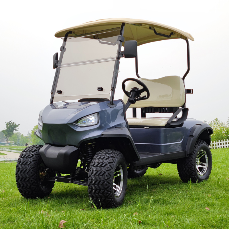 LS2020A--2 Seats Electric Lifted Golf Cart